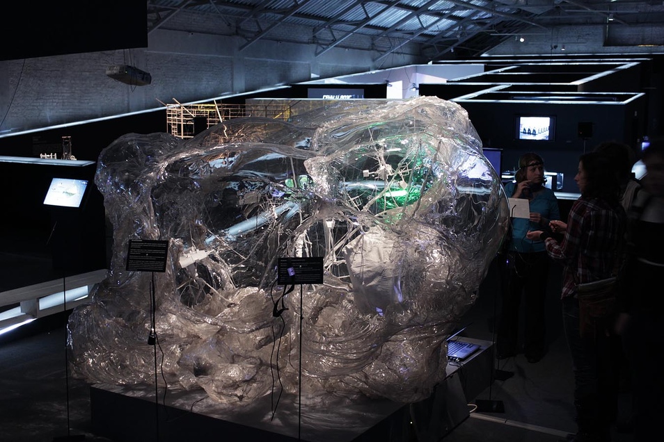 Model of biometric reflexions